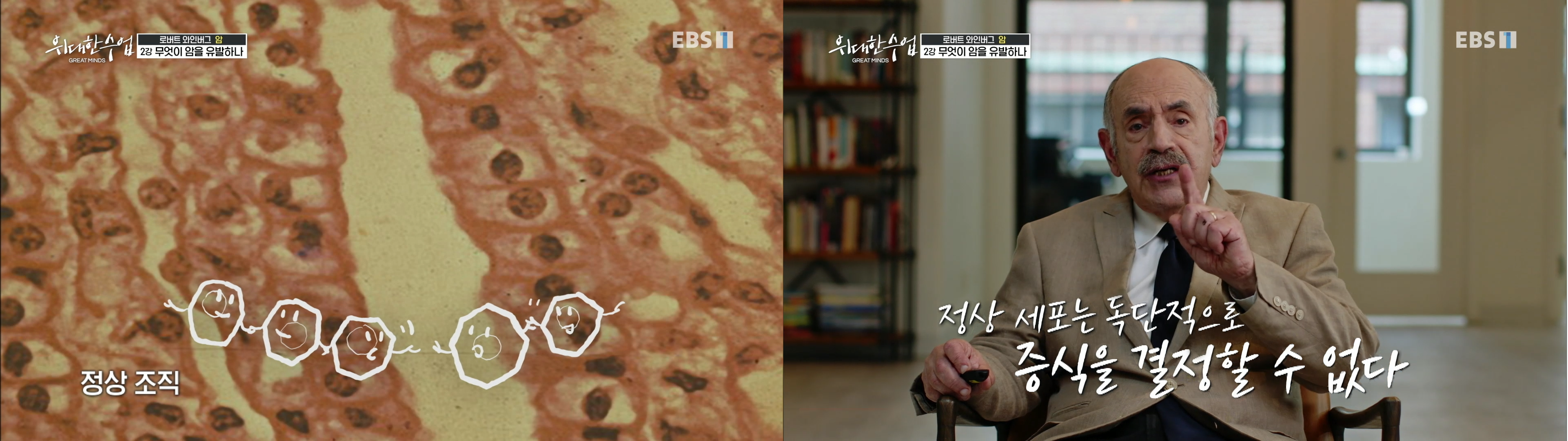 정상 세포 의사소통