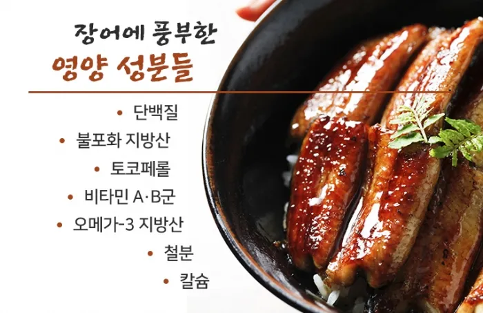 장어 효능 장어와 상극인 음식 건강 상식_6