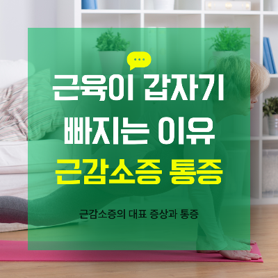 중년여성 갑자기 근육이 빠지는 이유와 근감소증, 통증, 자가진단, 예방