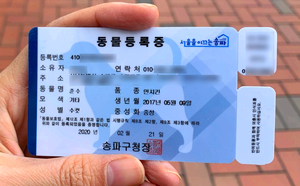 동물등록증