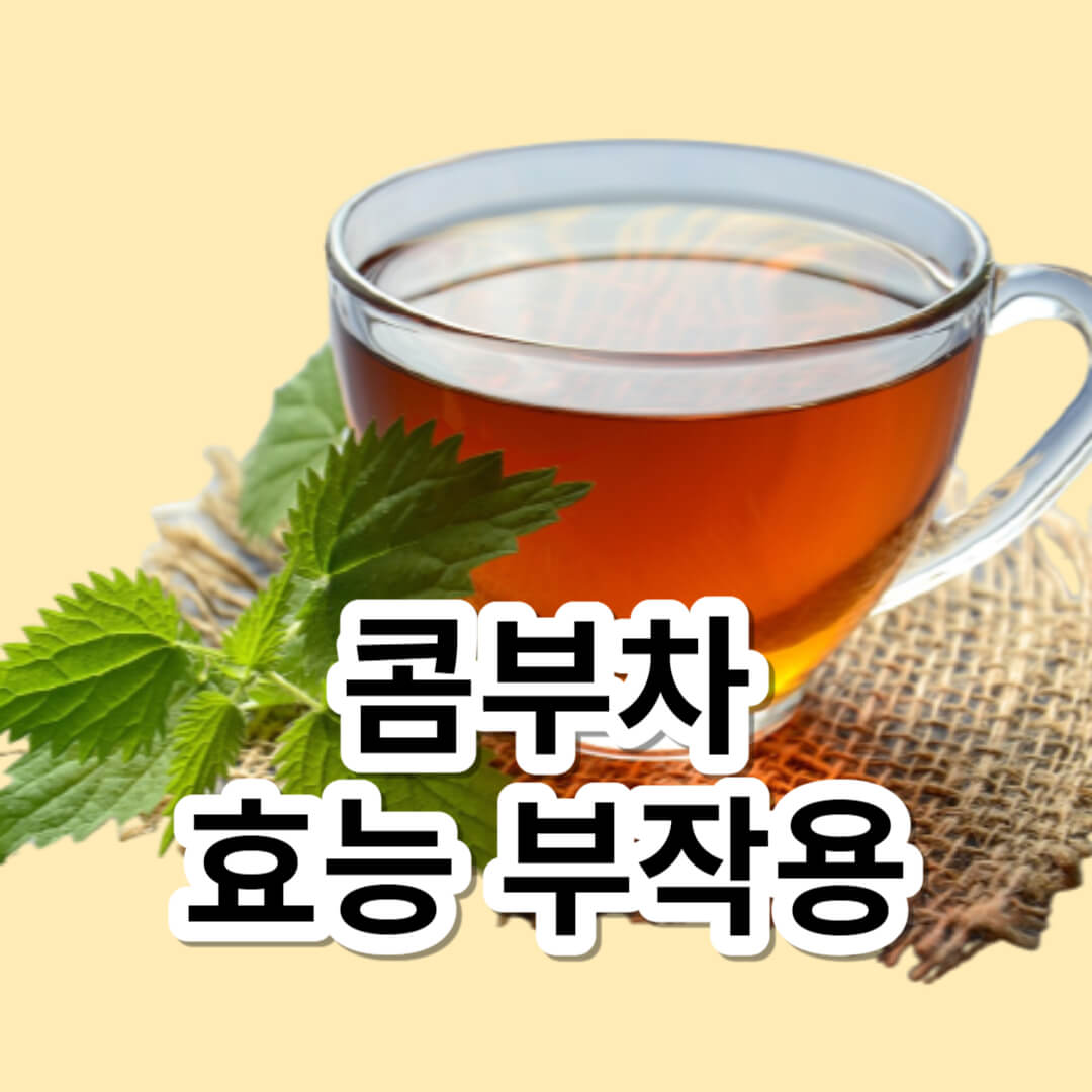 콤부차 효능 부작용