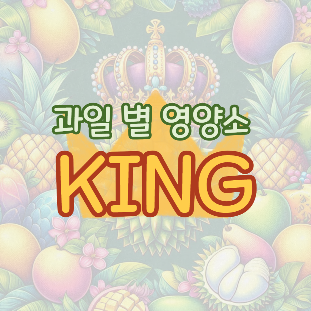 과일 별 영양소 KING