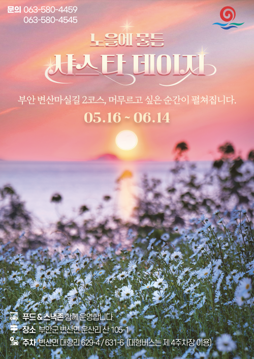 샤스타데이지 코스 완벽 정리