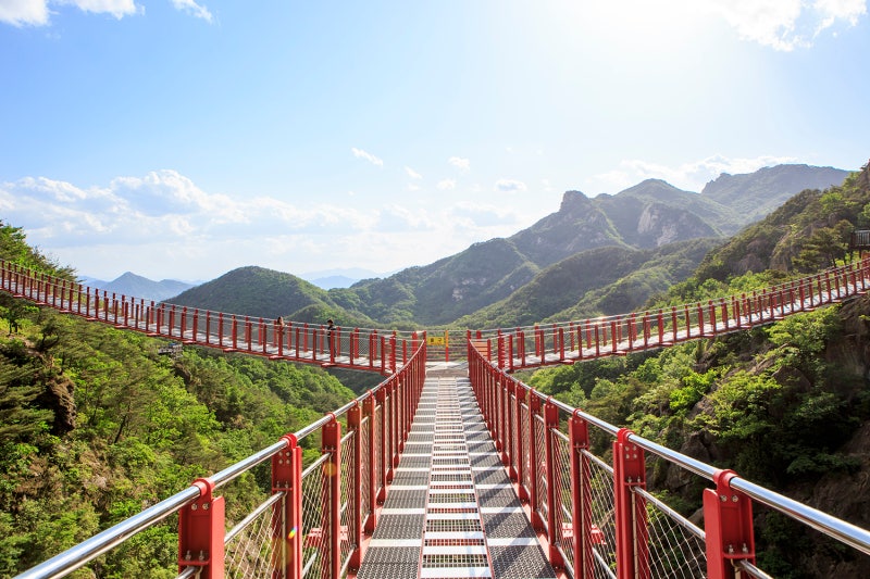 y자형 출렁다리