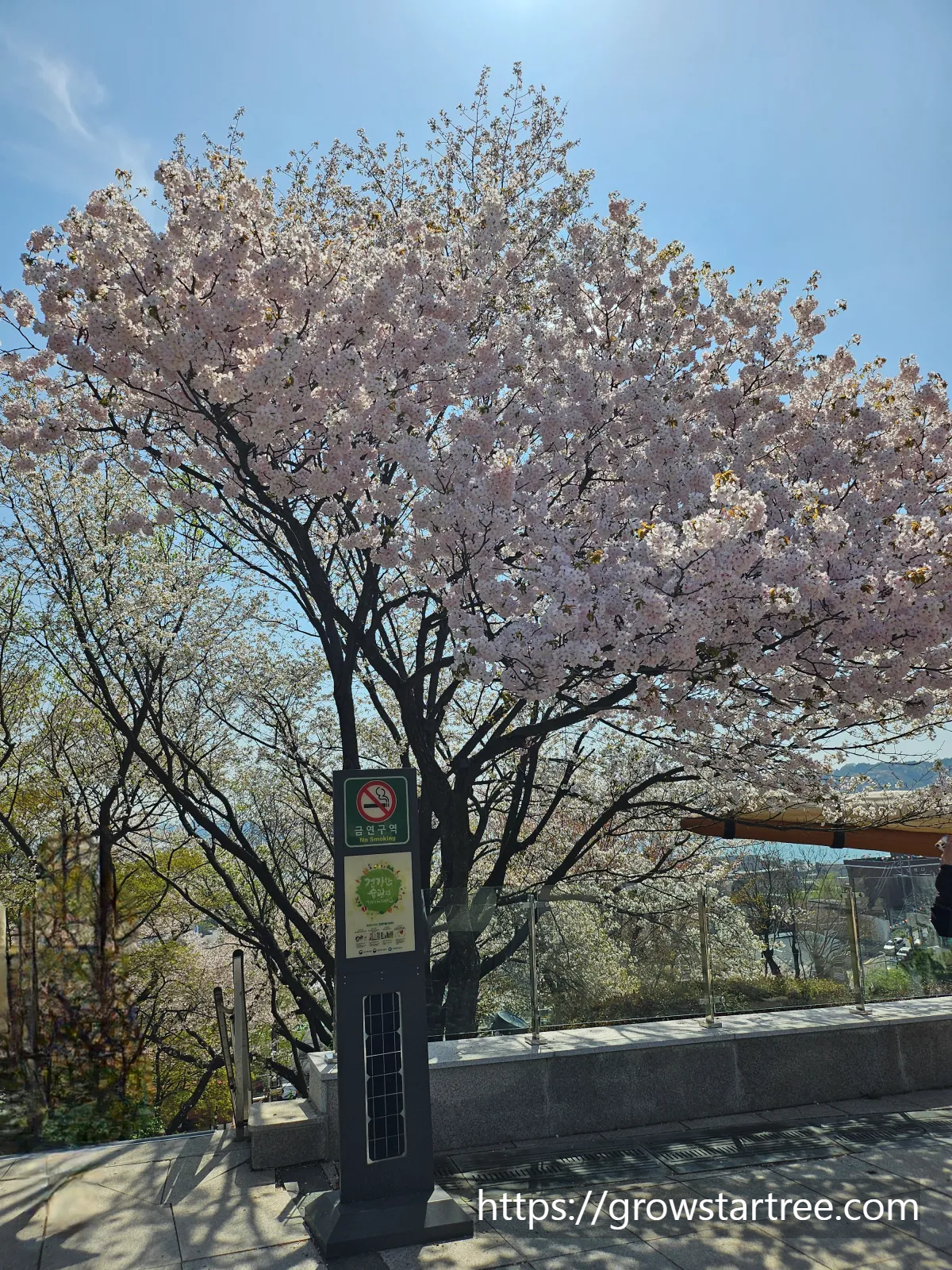 동인천 자유공원