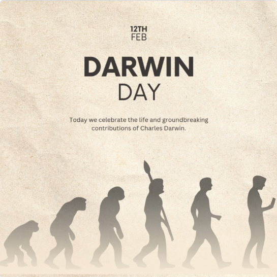 인간의 진화에 대한 이미지 입니다