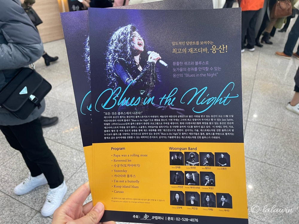 웅산 콘서트 프로그램, 웅산밴드 출연진