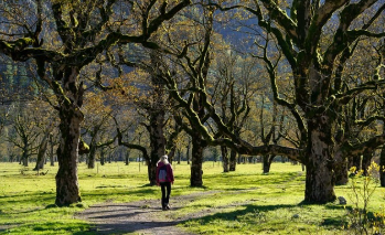 청와대 관람신청 한번에 해결 29