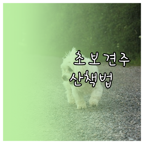 초보 견주 필독! 사계절 맞춤 반려견..