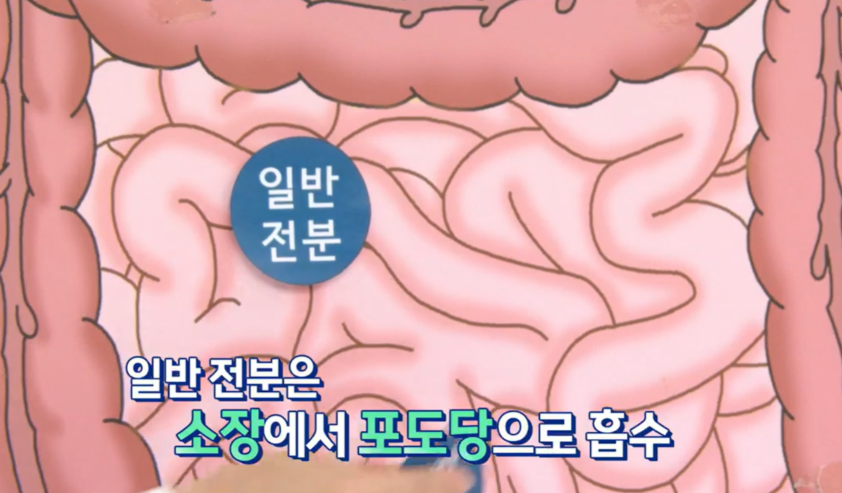 카무트 효능