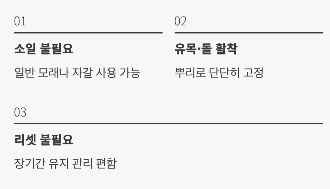 흙 없이도 자라는 강인함