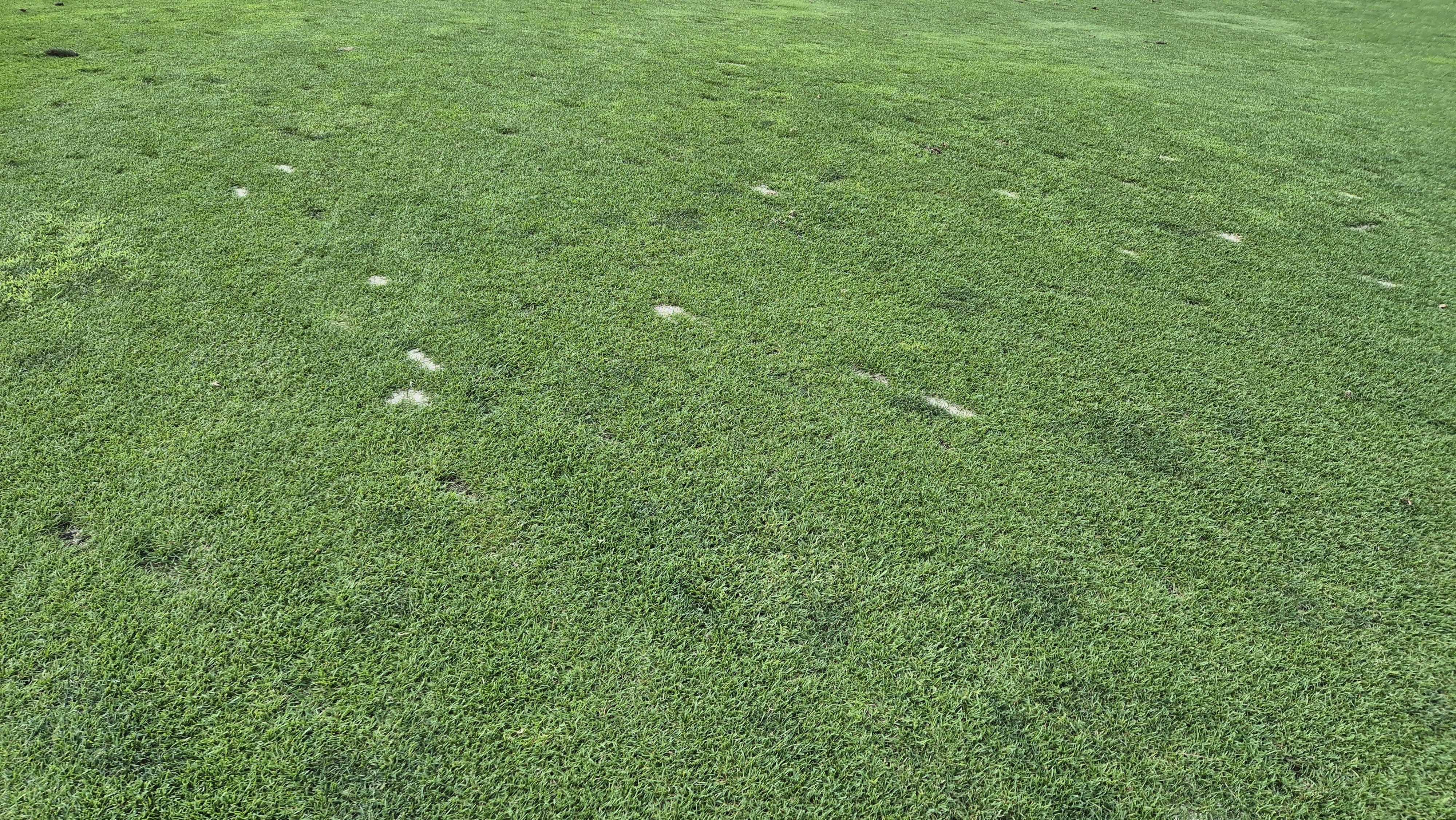 오너스gc 라운드 후기