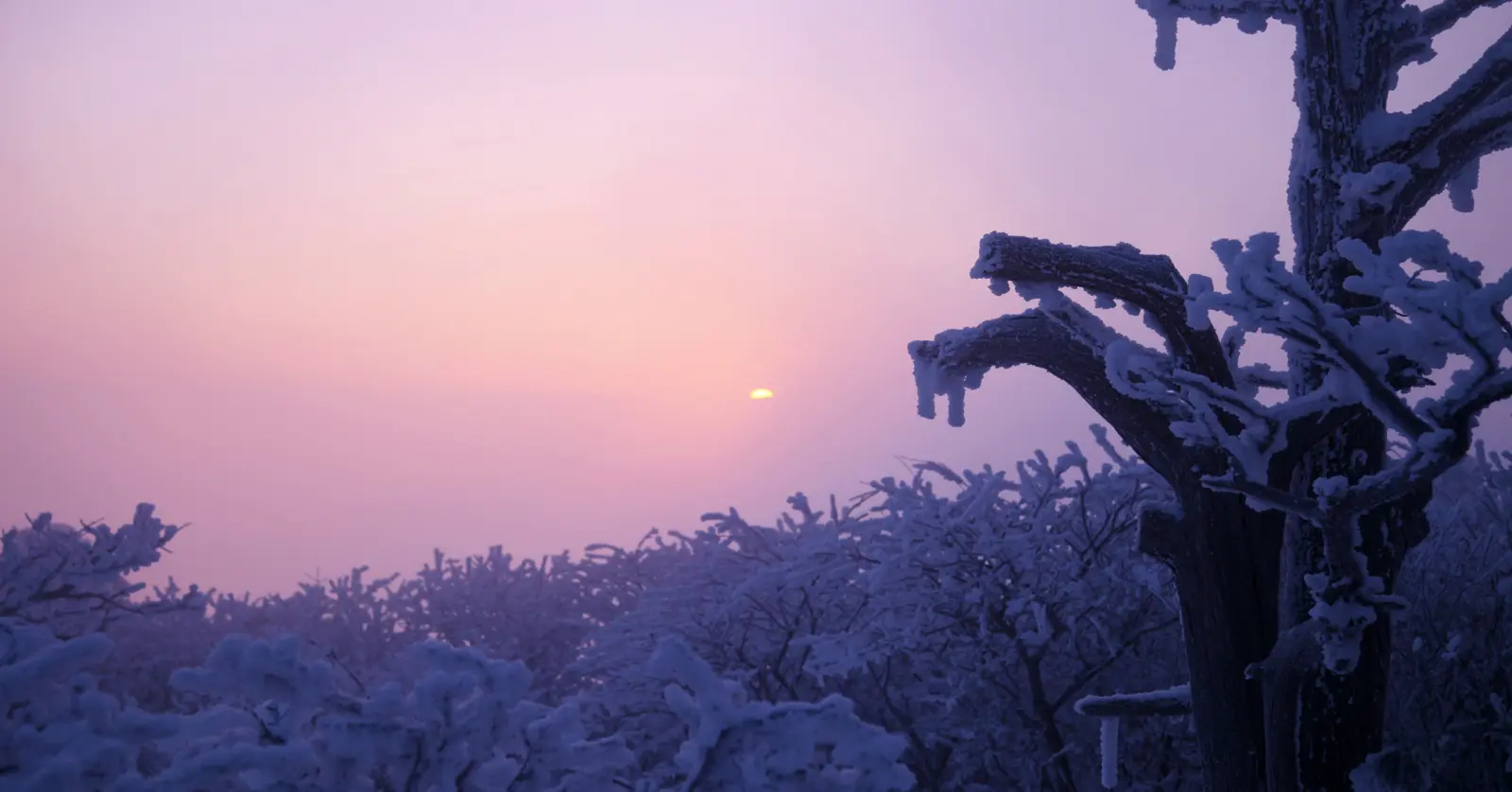 국립공원 실시간 CCTV 리스트