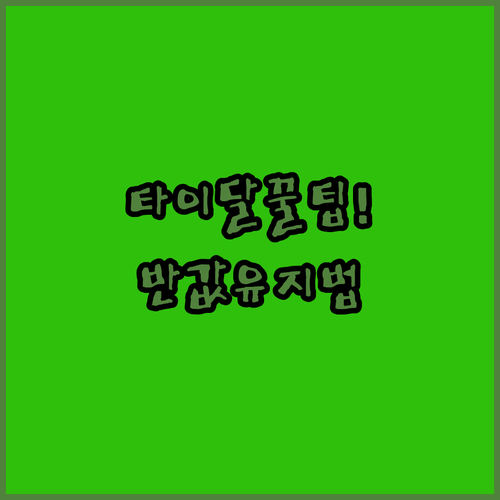 타이달 프리미엄 장기간 할인 가격 유..