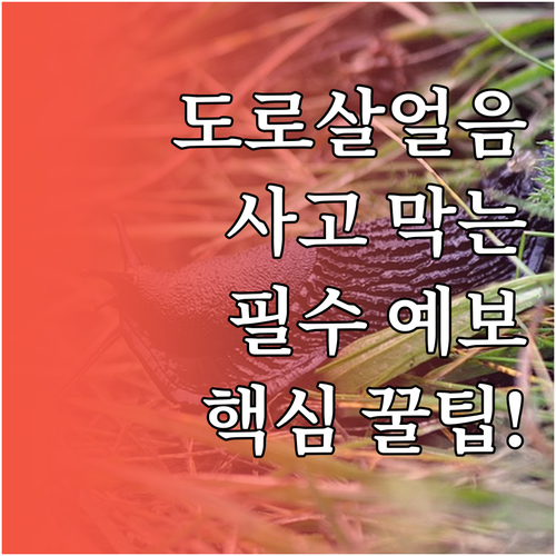 도로살얼음 대처법 기상청 예보 활용 ..
