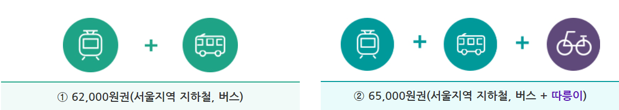 기후동행카드 카드가격