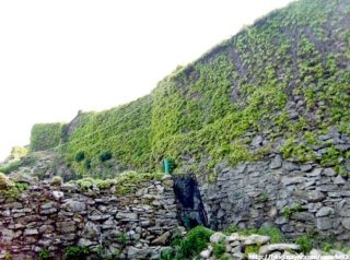 제주도 지진 역사