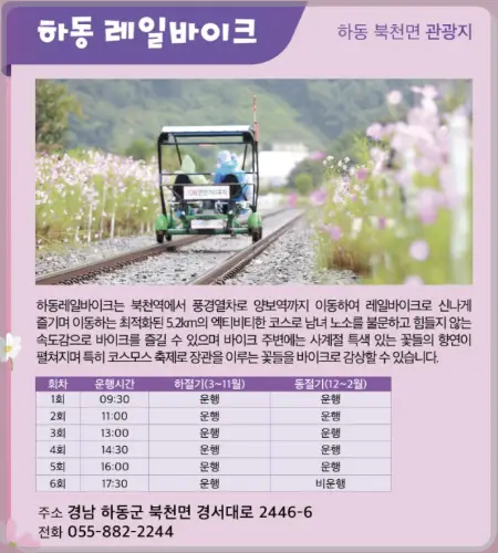 하동 북천 코스모스 메밀꽃 축제_25