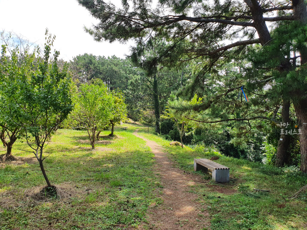 애월 수산봉 정상