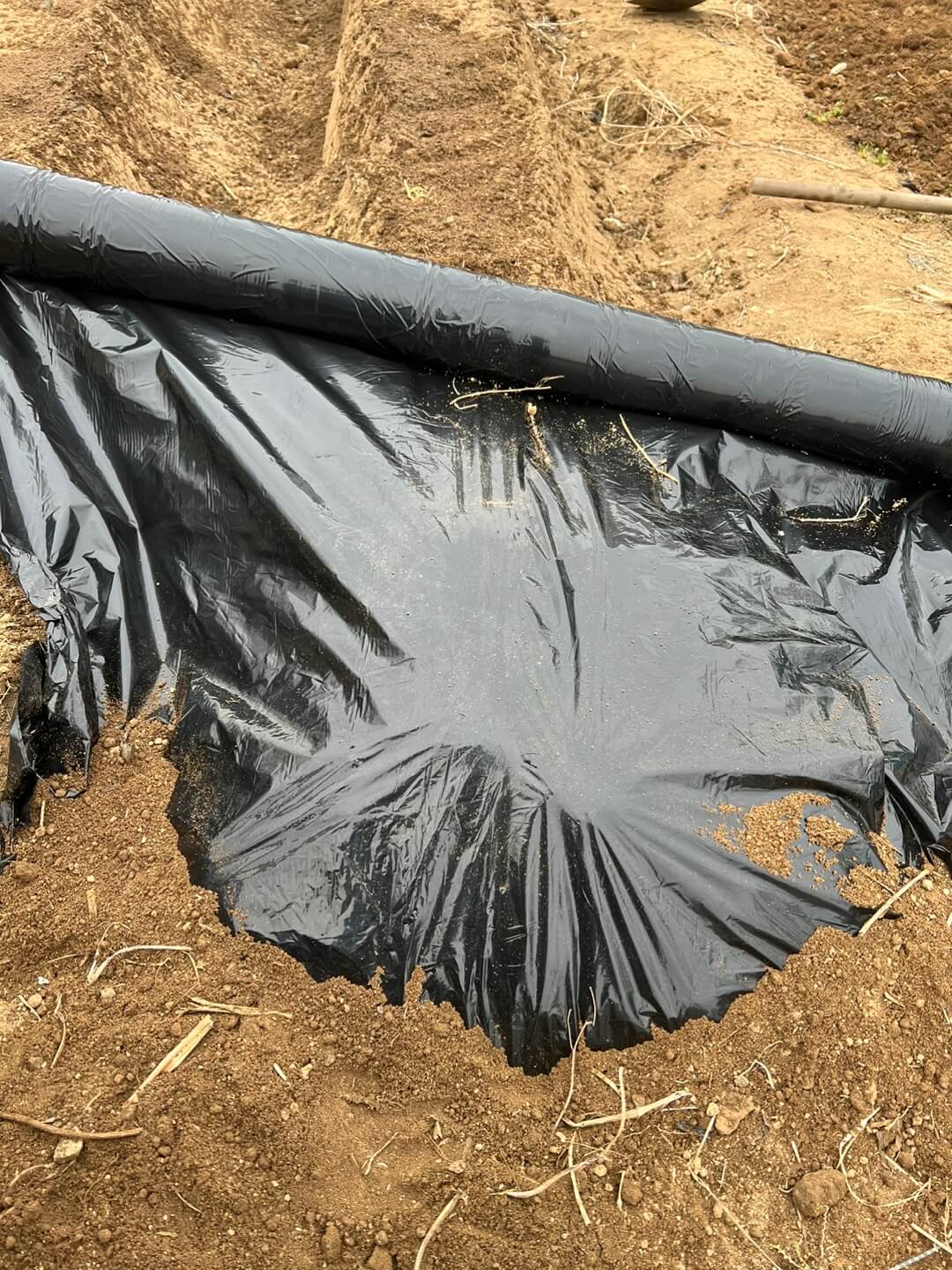 비닐 멀칭 방법