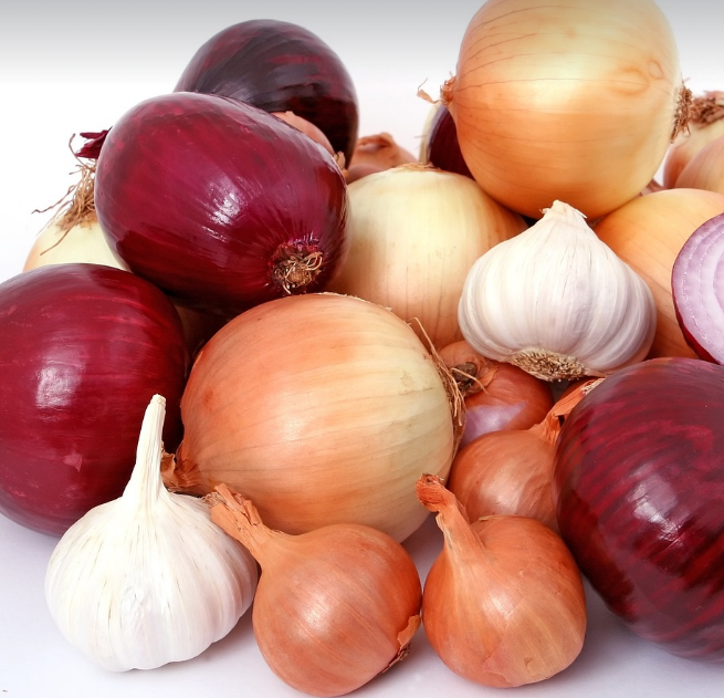양파 보관법, 양파의 효능과 영양소