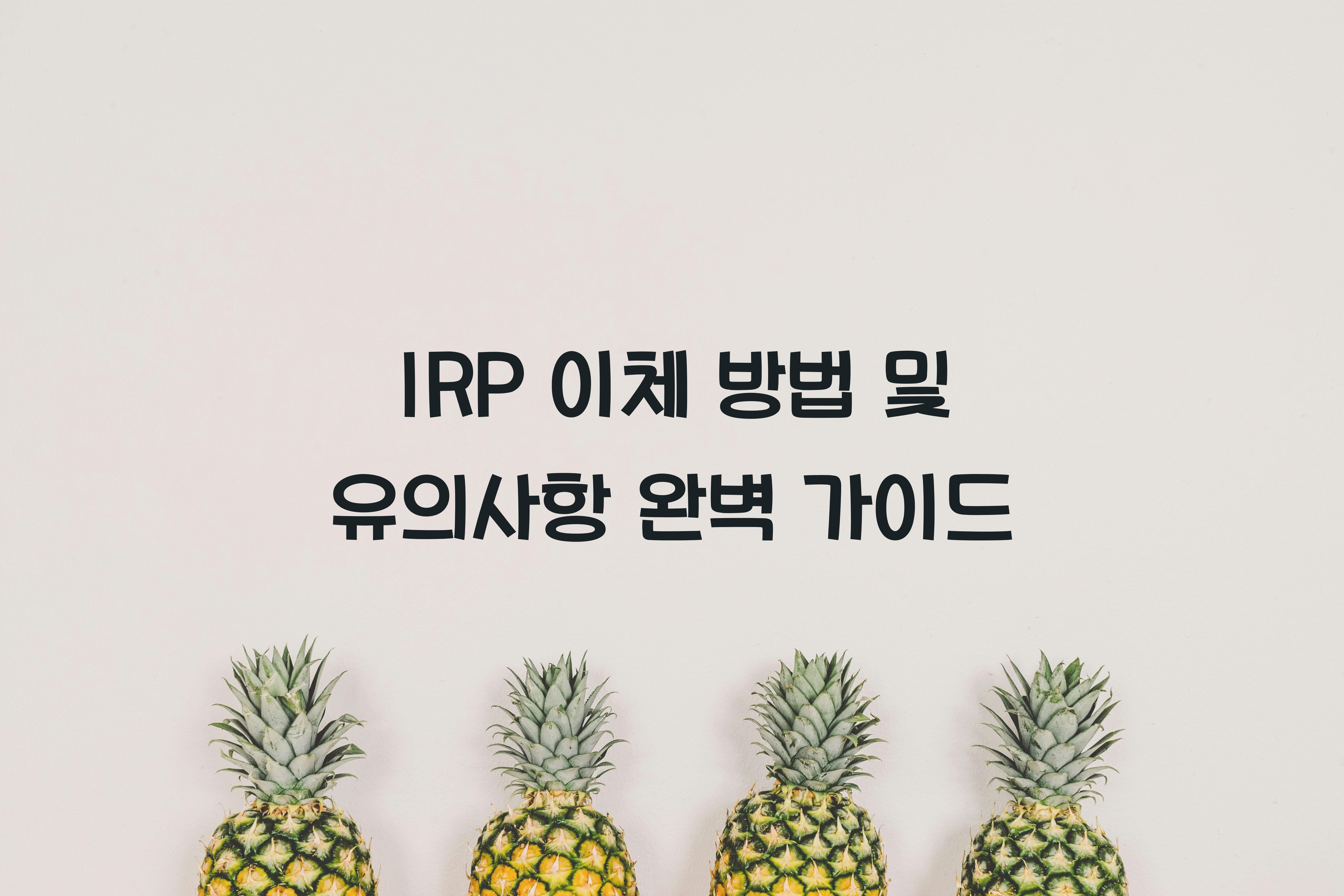 IRP 이체 방법 및 유의사항