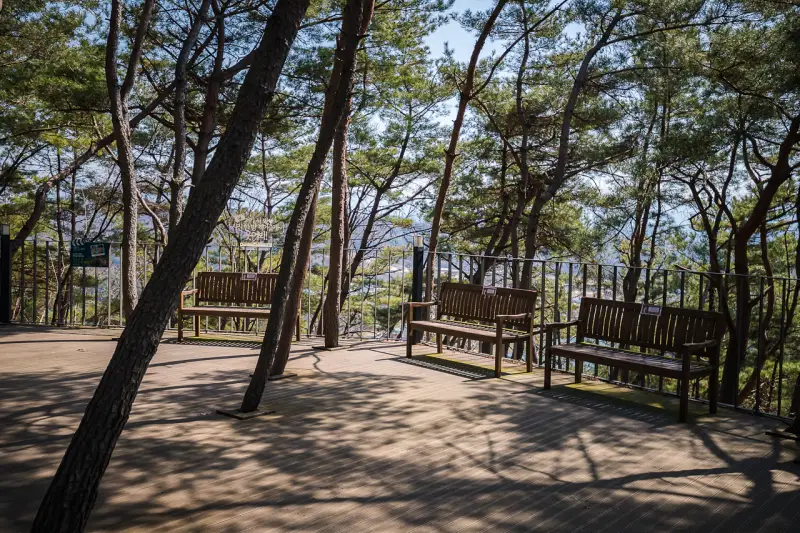 출렁다리 광장1