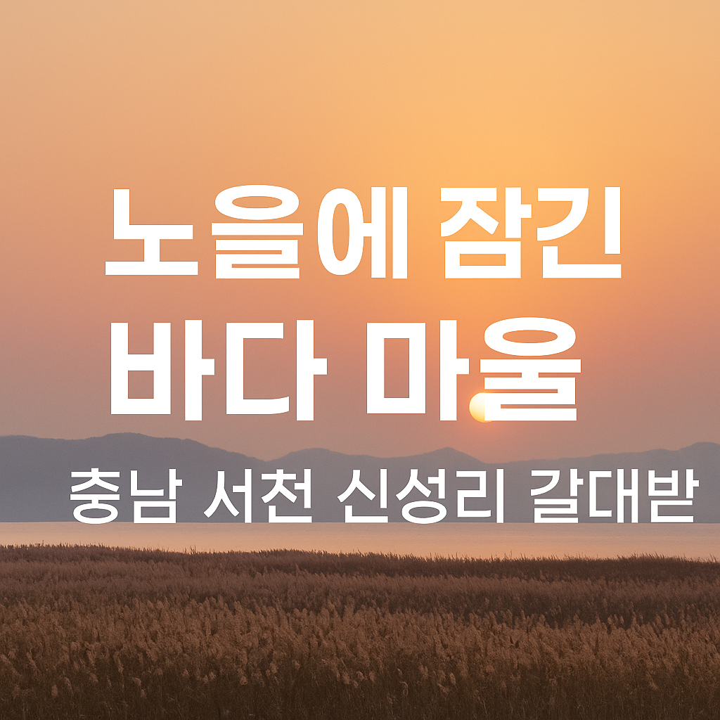 서천, 소도시 여행의 숨은 진주