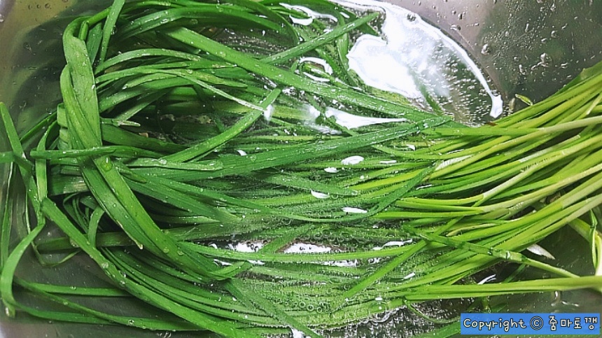 사이다에-부추-담구기