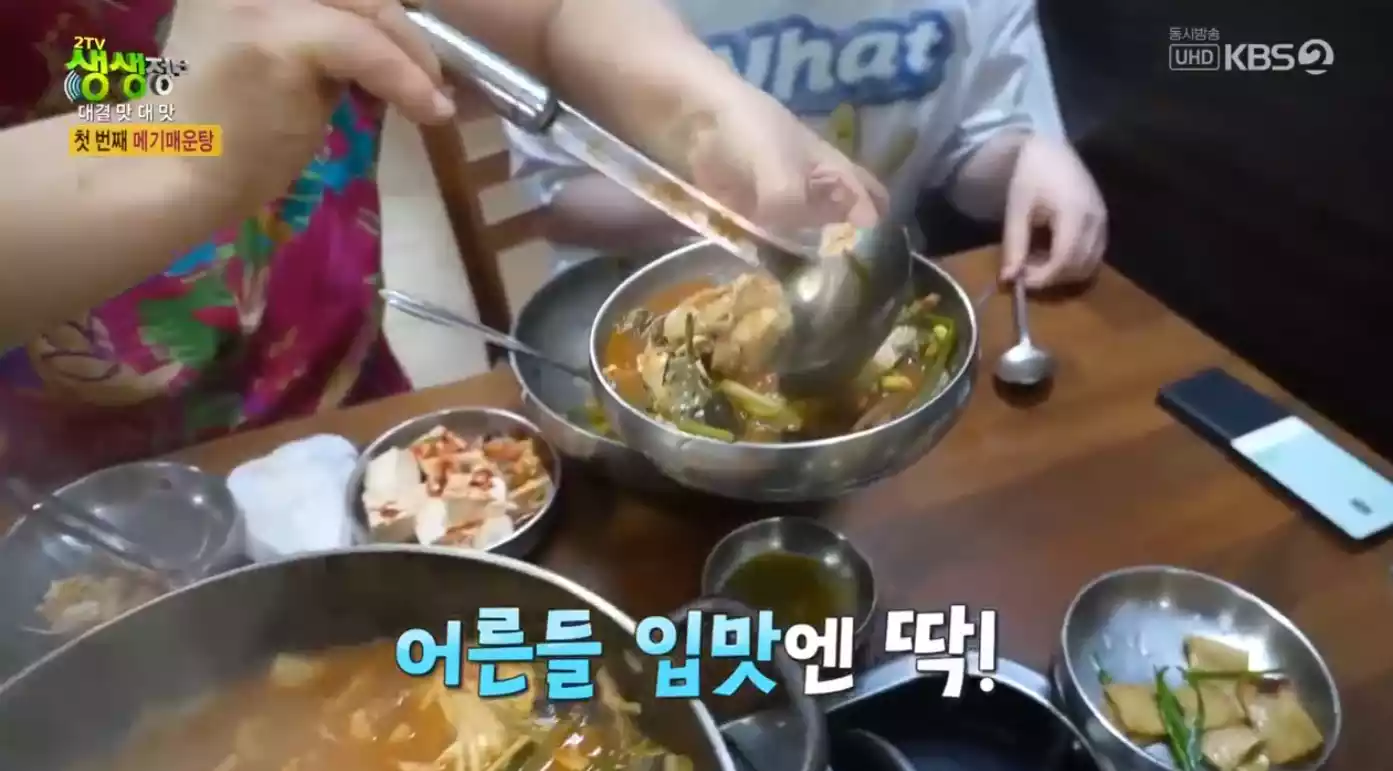 메기매운탕