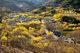 2023 전국 3월 축제 가볼만한 곳