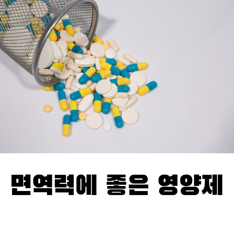 면역력에 좋은 영양제