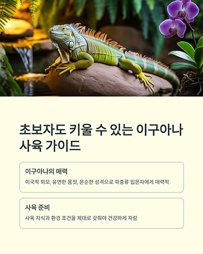 초보자도 키울 수 있는 이구아나 사육 가이드
