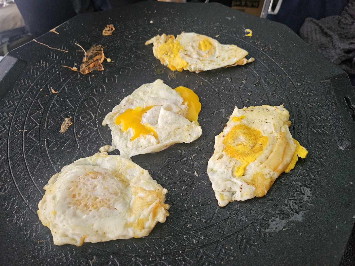 그린하우스캠핑장