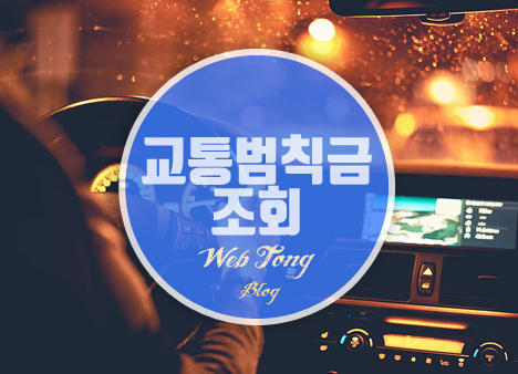 차량번호 교통범칙금 조회