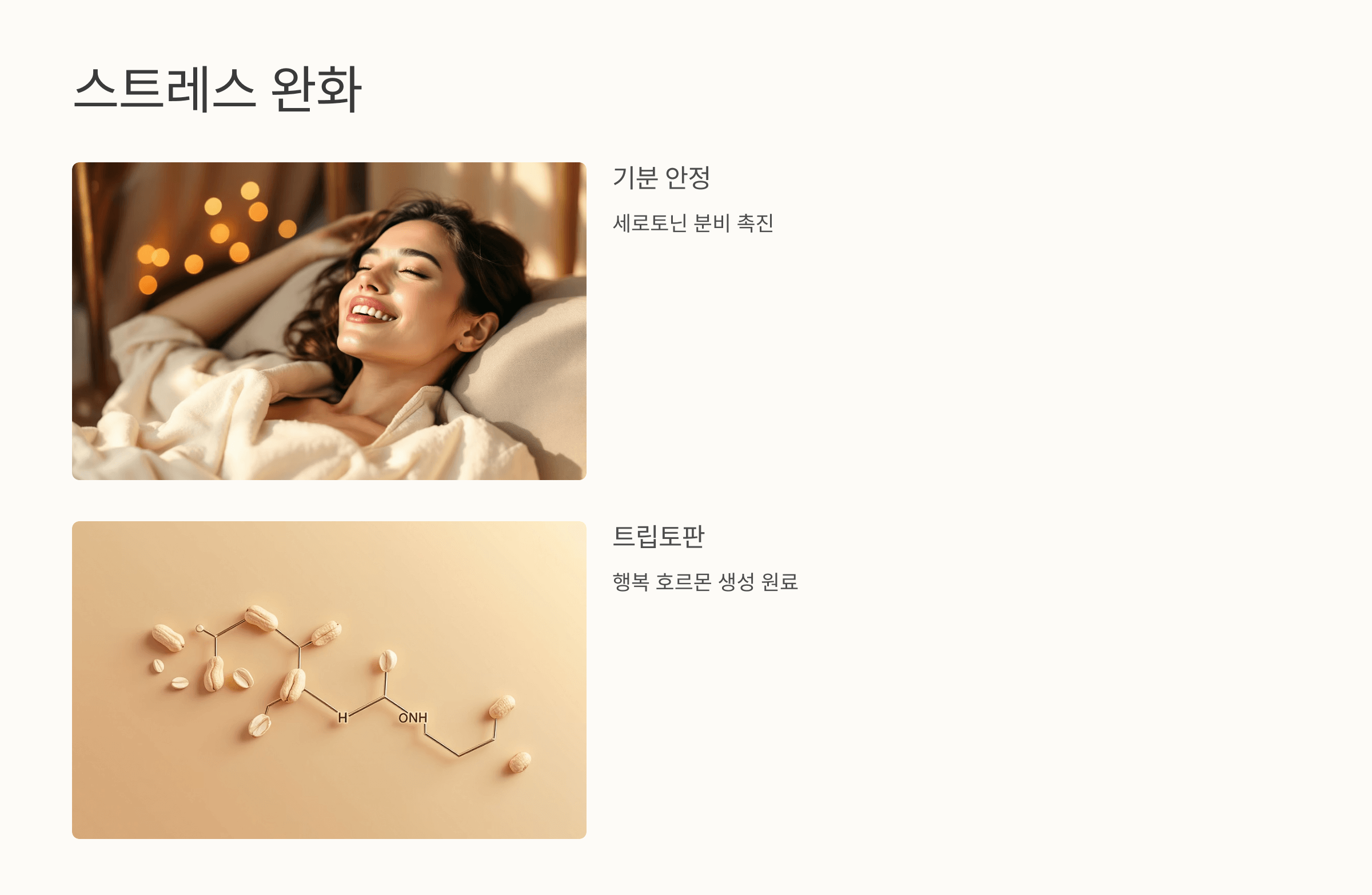 땅콩 사진입니다.