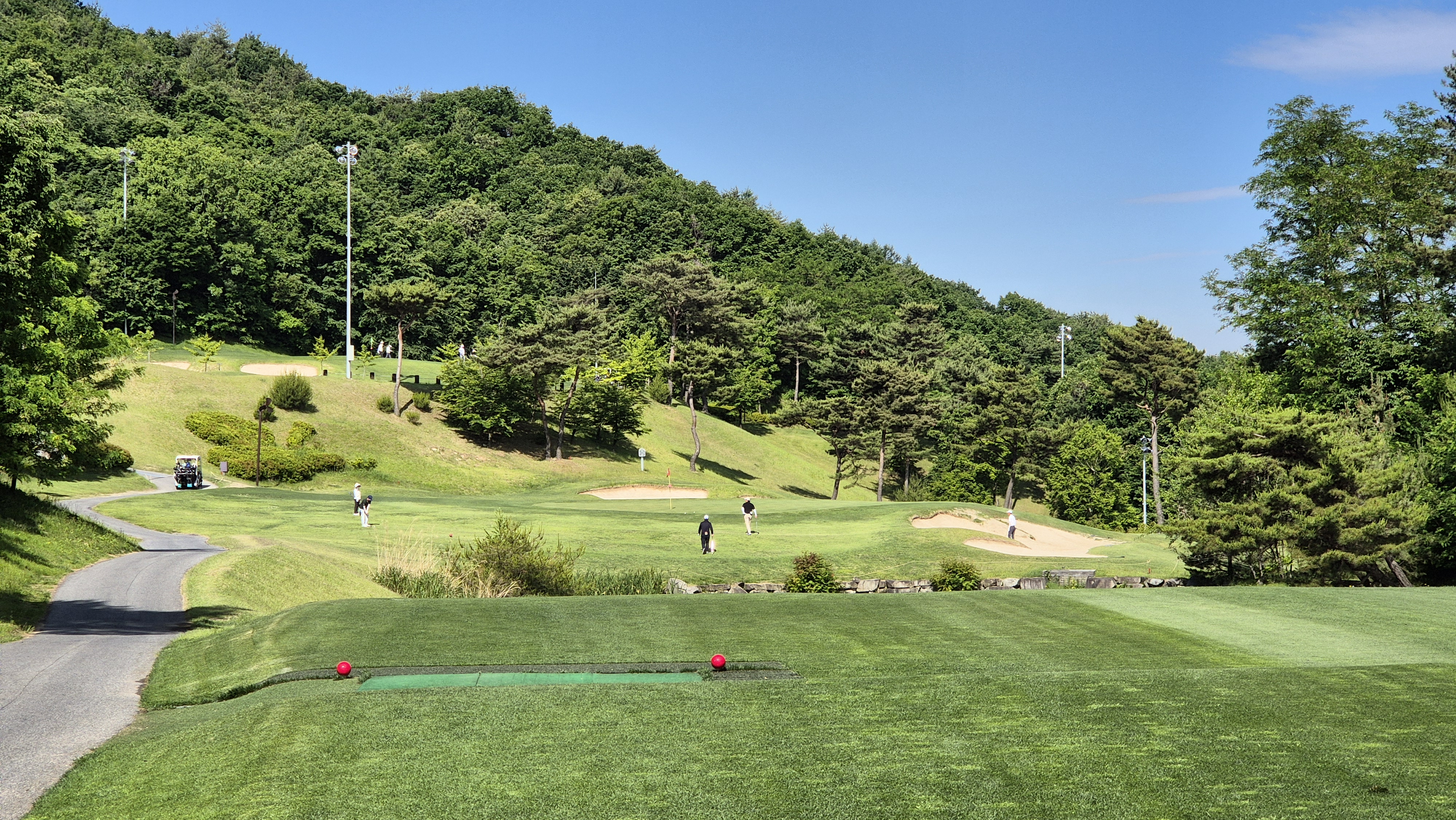 로얄포레cc