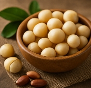 견과류 종류와 효능