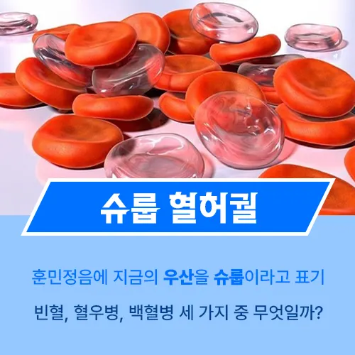 슈룹