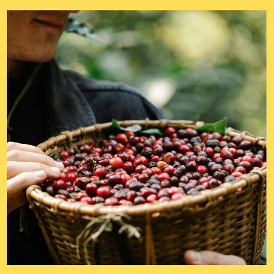 농식품바우처신청방법