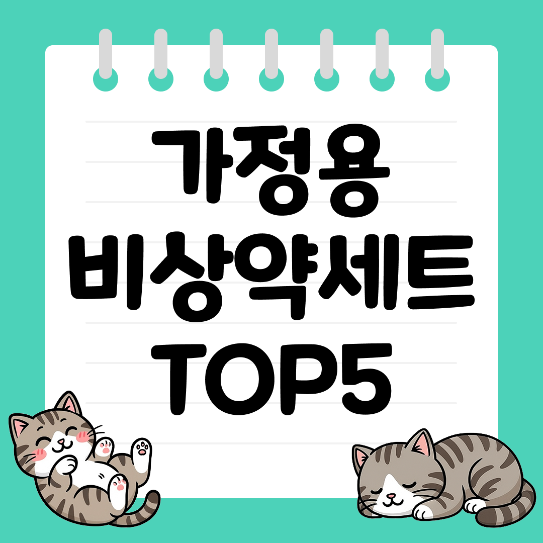 집마다 준비해야 할 가정용 비상약세트 추천 TOP5