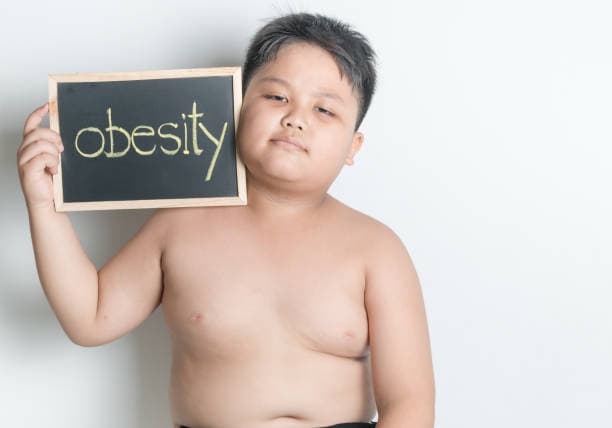 한의학에서의 소아 비만 관리와 예방 전략