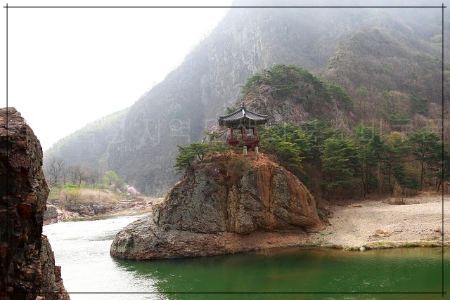 충북 음성군 민생회복 소비쿠폰 신청방법과 사용 꿀팁