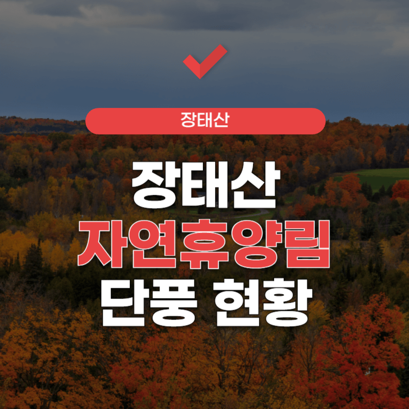 장태산-자연-휴양림-예약-썸네일