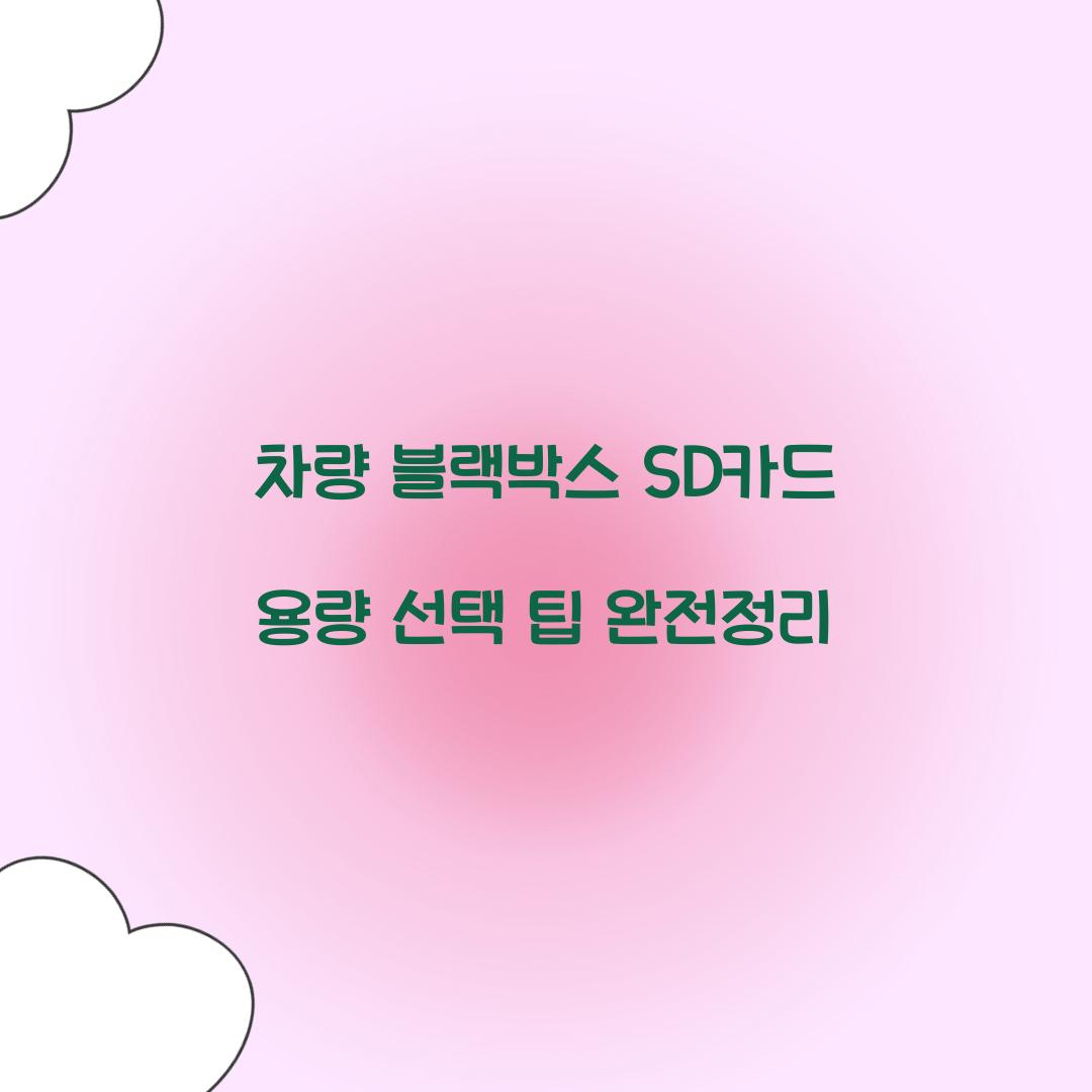 차량 블랙박스 SD카드 용량