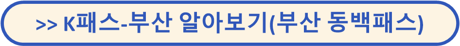 K패스 교통카드