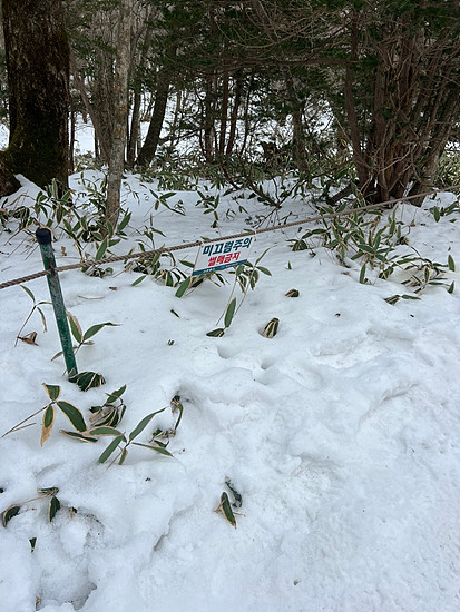 한라산등반 코스 완벽 가이드