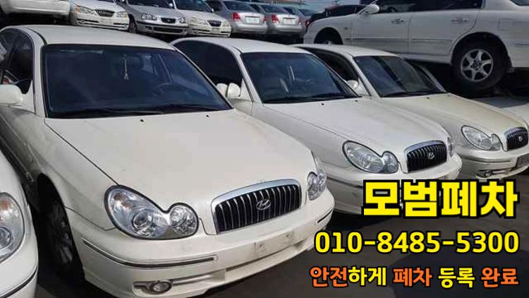 영치차량폐차 진행기간 확인
