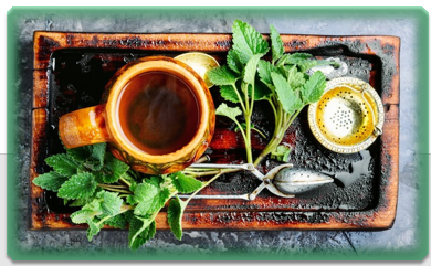 치매에 좋은 성분