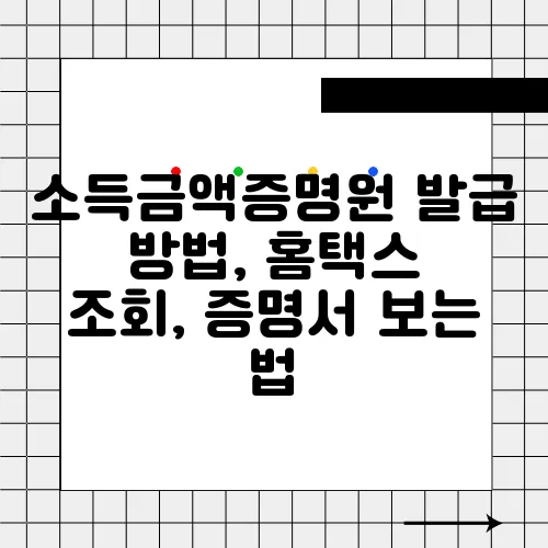 소득금액증명원 발급 방법, 홈택스 조회, 증명서 보는 법